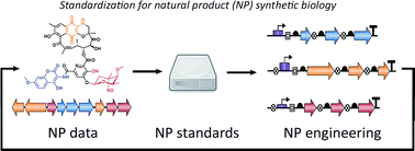 Graphical abstract: Standardization for natural product synthetic biology