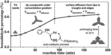 Graphical abstract: Formation of palladium concave nanocrystals via auto-catalytic tip overgrowth by interplay of reduction kinetics, concentration gradient and surface diffusion