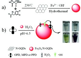 Graphical abstract: Facilely prepared Fe3O4/nitrogen-doped graphene quantum dot hybrids as a robust nonenzymatic catalyst for visual discrimination of phenylenediamine isomers