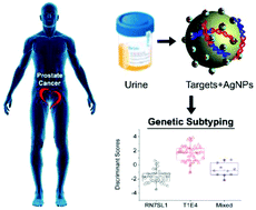 Graphical abstract: A nanoplasmonic label-free surface-enhanced Raman scattering strategy for non-invasive cancer genetic subtyping in patient samples