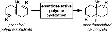 Graphical abstract: Enantioselective polyene cyclizations