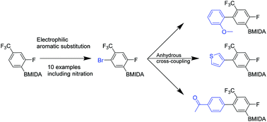 Graphical abstract: Regioselective routes to orthogonally-substituted aromatic MIDA boronates