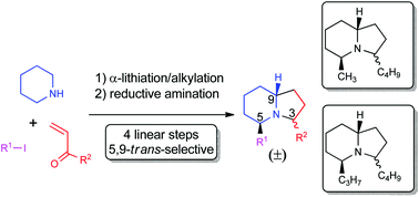 Graphical abstract: A short and modular approach towards 3,5-disubstituted indolizidine alkaloids