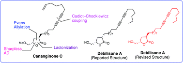 Graphical abstract: Total synthesis of cananginone C and structural revision of debilisone A