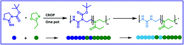 Graphical abstract: Cationic ring-opening polymerization of protected oxazolidine imines resulting in gradient copolymers of poly(2-oxazoline) and poly(urea)