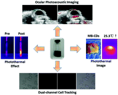 Graphical abstract: Fluorescent C-dot nanocomposites as efficient photothermal agents and multi-modal imaging tracers