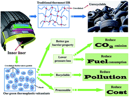 Graphical abstract: Microstructure and properties of bromo-isobutylene–isoprene rubber/polyamide 12 thermoplastic vulcanizate toward recyclable inner liners for green tires