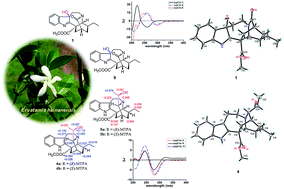 Graphical abstract: New iboga-type alkaloids from Ervatamia hainanensis