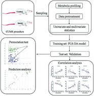 Graphical abstract: A metabolomics-based approach for ranking the depressive level in a chronic unpredictable mild stress rat model