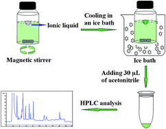 Graphical abstract: Liquid phase microextraction based on the solidification of a floating ionic liquid combined with high-performance liquid chromatography for the preconcentration of phthalate esters in environmental waters and in bottled beverages
