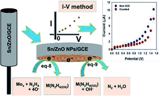 Graphical abstract: Ultrasensitive and selective hydrazine sensor development based on Sn/ZnO nanoparticles
