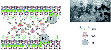 Graphical abstract: Platinum nanoparticles with superacid-doped polyvinylpyrrolidone coated carbon nanotubes: electrocatalyst for oxygen reduction reaction in high-temperature proton exchange membrane fuel cell
