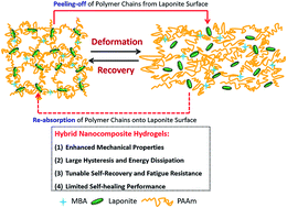 Graphical abstract: Hybrid nanocomposite hydrogels with high strength and excellent self-recovery performance