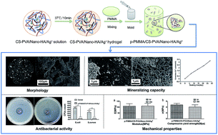 Graphical abstract: Synthesis and characterization of an injectable and self-curing poly(methyl methacrylate) cement functionalized with a biomimetic chitosan–poly(vinyl alcohol)/nano-sized hydroxyapatite/silver hydrogel