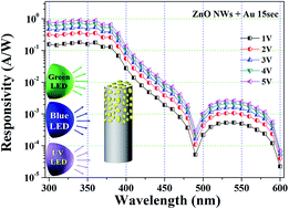 Graphical abstract: A dual-band photodetector based on ZnO nanowires decorated with Au nanoparticles synthesized on a glass substrate