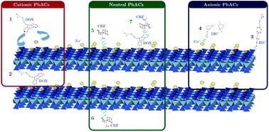 Graphical abstract: Competitive adsorption of a pool of pharmaceuticals onto a raw clay mineral