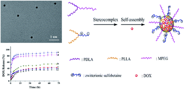 Graphical abstract: Stable micelles formed through a stereocomplex of amphiphilic copolymers zwitterionic-(PLLA)2 and MPEG-(PDLA)2 for controlled drug delivery