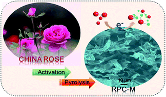 Graphical abstract: China rose-derived tri-heteroatom co-doped porous carbon as an efficient electrocatalysts for oxygen reduction reaction