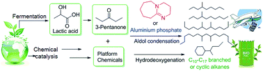 Graphical abstract: Production of liquid hydrocarbon fuels with 3-pentanone and platform molecules derived from lignocellulose