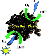 Graphical abstract: Valorization of coffee bean waste: a coffee bean waste derived multifunctional catalyst for photocatalytic hydrogen production and electrocatalytic oxygen reduction reactions