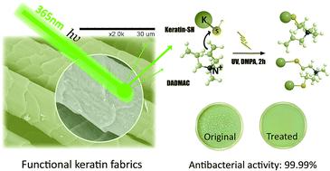 Graphical abstract: Preparation of antibacterial keratin fabrics via UV curing and click chemistry