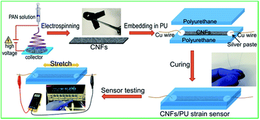 Graphical abstract: A highly stretchable strain sensor based on electrospun carbon nanofibers for human motion monitoring