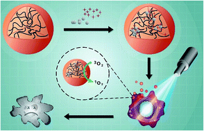 Graphical abstract: PLGA nanocomposites loaded with verteporfin and gold nanoparticles for enhanced photodynamic therapy of cancer cells
