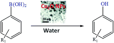Graphical abstract: On-water synthesis of phenols using biogenic Cu2O nanoparticles without using H2O2