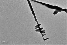 Graphical abstract: Synthesis of ultra-long hierarchical ZnO whiskers in a hydrothermal system for dye-sensitised solar cells