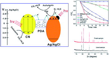 Graphical abstract: Engineering plasmonic Ag/AgCl–polydopamine–carbon nitride composites for enhanced photocatalytic activity based on mussel chemistry