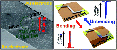 Graphical abstract: Piezoelectric energy harvesting from a PMN–PT single nanowire