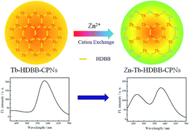 Graphical abstract: A highly zinc-selective ratiometric fluorescent probe based on AIE luminogen functionalized coordination polymer nanoparticles