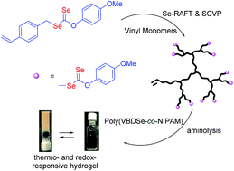 Graphical abstract: From seleno-mediated radical polymerization to seleno-containing branched polymers and dynamic hydrogel