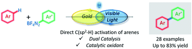 Graphical abstract: Dual gold and photoredox catalysed C–H activation of arenes for aryl–aryl cross couplings