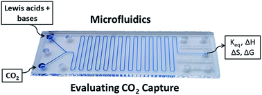 Graphical abstract: Quantifying the efficiency of CO2 capture by Lewis pairs