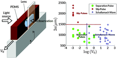 Graphical abstract: Stick-slip at soft adhesive interfaces mediated by slow frictional waves