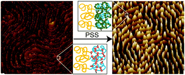 Graphical abstract: Periodic nanoscale patterning of polyelectrolytes over square centimeter areas using block copolymer templates