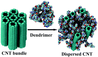 Graphical abstract: Dendrimer assisted dispersion of carbon nanotubes: a molecular dynamics study