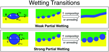 Graphical abstract: Partial to complete wetting transitions in immiscible ternary blends with PLA: the influence of interfacial confinement