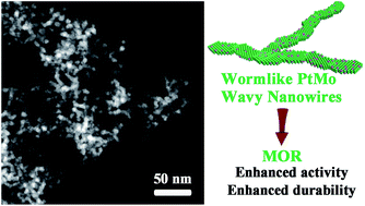 Graphical abstract: Hydrogen gas-assisted synthesis of worm-like PtMo wavy nanowires as efficient catalysts for the methanol oxidation reaction