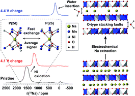Graphical abstract: Direct evidence for high Na+ mobility and high voltage structural processes in P2-Nax[LiyNizMn1−y−z]O2 (x, y, z ≤ 1) cathodes from solid-state NMR and DFT calculations
