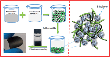 Graphical abstract: Protein-assisted assembly of mesoporous nanocrystals and carbon nanotubes for self-supporting high-performance sodium electrodes
