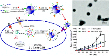 Graphical abstract: RGD-decorated redox-responsive d-α-tocopherol polyethylene glycol succinate–poly(lactide) nanoparticles for targeted drug delivery