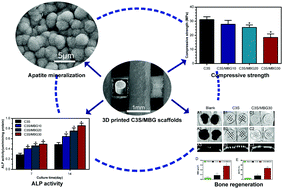Graphical abstract: Three-dimensional printing of tricalcium silicate/mesoporous bioactive glass cement scaffolds for bone regeneration