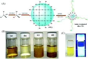 Graphical abstract: A one-pot synthesis of water soluble highly fluorescent silica nanoparticles