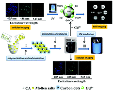 Graphical abstract: A high-yield and versatile method for the synthesis of carbon dots for bioimaging applications