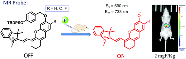 Graphical abstract: A NIR fluorescent probe for the detection of fluoride ions and its application in in vivo bioimaging