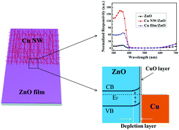 Graphical abstract: A surface oxide thin layer of copper nanowires enhanced the UV selective response of a ZnO film photodetector