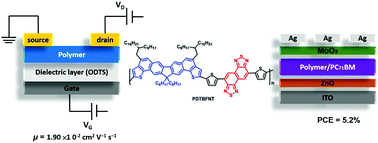 Graphical abstract: Synthesis, molecular and photovoltaic/transistor properties of heptacyclic ladder-type di(thienobenzo)fluorene-based copolymers