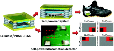 Graphical abstract: A microcrystalline cellulose ingrained polydimethylsiloxane triboelectric nanogenerator as a self-powered locomotion detector